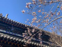 -碑林公园