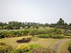 -南沙蒲洲花园