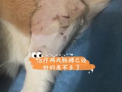 -宠颐生中康贝怡动物医院