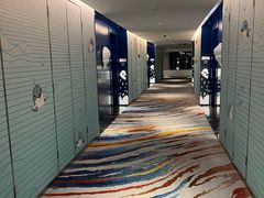 -上海海昌海洋公园