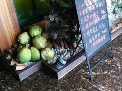 -三亚湾红树林度假世界(木棉酒店)