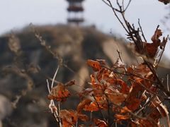 -北京凤凰岭