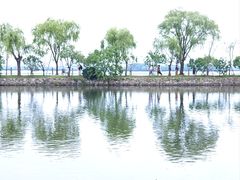 -无锡蠡湖国家湿地公园-蠡园