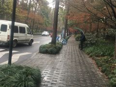 -中国人民解放军联勤保障部队第九〇三医院(九里松院区)