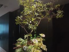 -金春禧(世茂国际广场店)