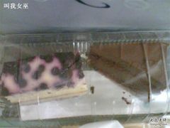 复件&nbsp;Image(073)-榖屋house of flour(张江首店)