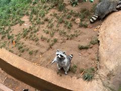 -云南野生动物园