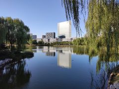 -大兴滨河森林公园