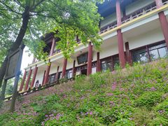 -冶父山国家森林公园