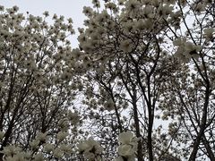 -睦南公园