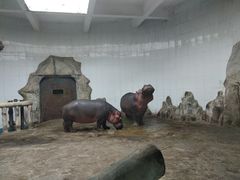 -新疆天山野生动物园