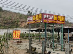 -凤岗南门山森林公园