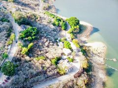 -广州市流溪河国家森林公园