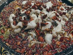 -金三可市井水煮鱼(金碧园店)