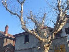 -上海孙中山故居纪念馆