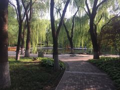 -玲珑塔公园