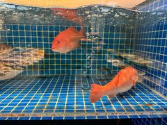 -渔满仓海鲜渔家(象山二店)