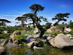 -罗红摄影艺术馆