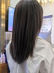 -YESIDO椰岛造型