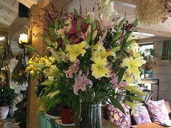 -春暖花开(西溪店)