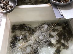 -旺山·浪头人家