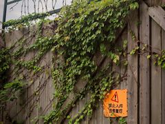 -热带风暴水上乐园