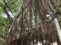 -胡里山炮台