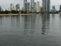 -黄金海岸