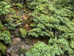 -海南热带雨林国家公园吊罗山景区