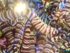 -协成海鲜火锅(情侣路店)