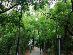 -柳州白莲洞洞穴科学博物馆