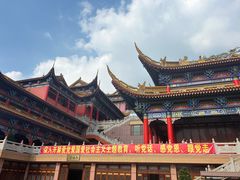 -东莞市大岭山森林公园