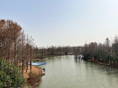 -上海长兴岛郊野公园