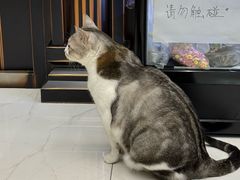 -谜盒子奇幻密室(南屏店)