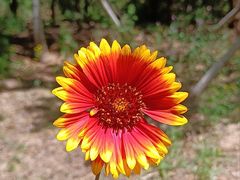 -白水寺森林公园