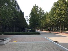 -河南财经政法大学(郑东校区)