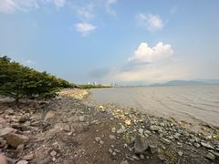 -深圳湾公园(南山区)
