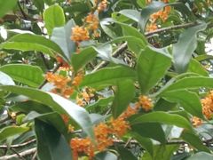 -杭州城北体育公园