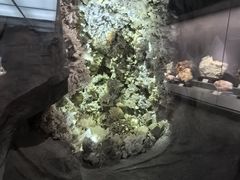 -湖南省地质博物馆