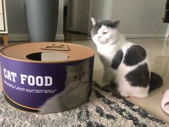 -爱诺耐芙动物医院(万博店)