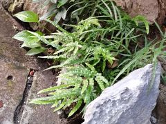 -文儒九号·闽菜馆(三坊七巷店)