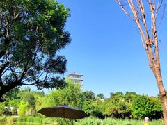 -Supine Bistro溯泮餐厅