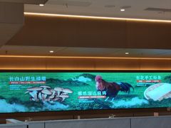 -北大荒人•新东北菜(青岛银座店)