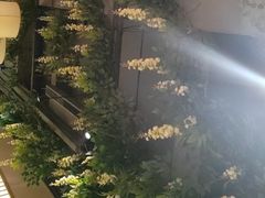 -番食园鲜食火锅(高新店)