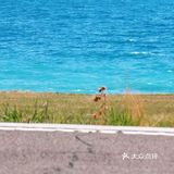赛木里湖
