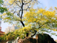 -晋江五店市传统文化旅游区