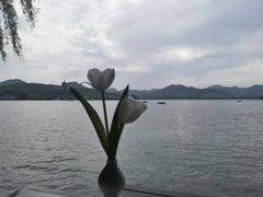 -柳莺湖上·湖景餐厅·江南菜(西湖店)