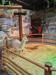 -Zoolung Zoolung动物主题公园(海信广场店)