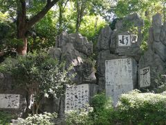 -白沙古井