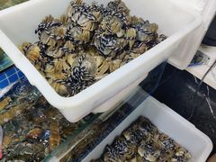 -星记小馆·小蓝龙·老南京砂锅菜(上海路店)